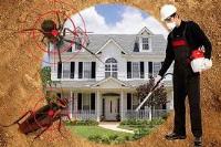 Pest Control Blacktown image 4